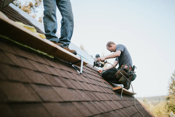 Best Local Roofing Companies  in Carbondale, KS